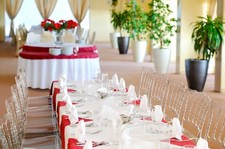 Ghost Chair Acrylic Vintage Clear or Amber. BASF Quality, no China Goods.