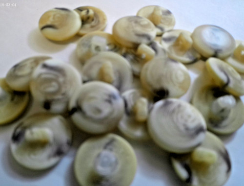 10x beige brown tortoise - beige,