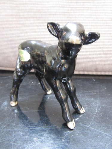 Beswick aberdeen angus calf - ,