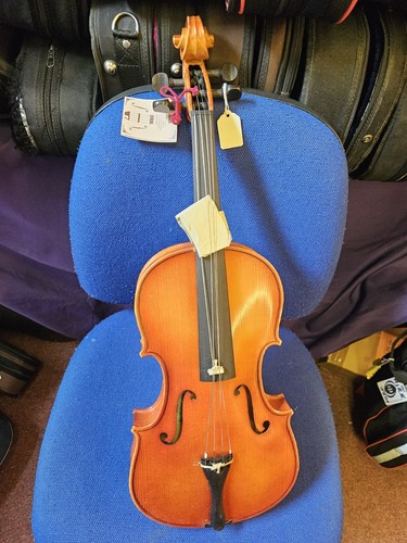 Viola hungarian in - viola, -hungarian...in