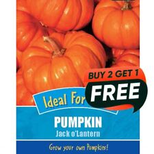 Vegetable Seeds Pumpkin Jack