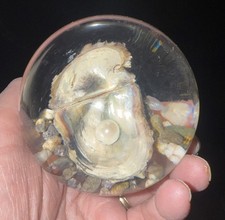 Vintage glass paperweight with natural open shell & pearl