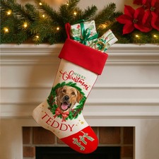 Personalised Dog Christmas