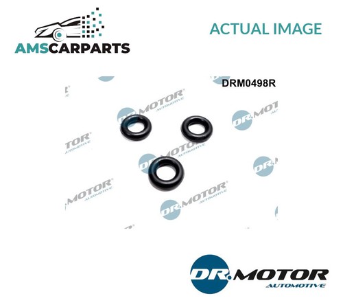 Seal ring injector - injector, drm0498r