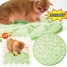 Concealed Motion Cat Cat