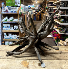 Large Corbo Root Aquarium