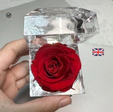 Eternal Real Flower Preserved