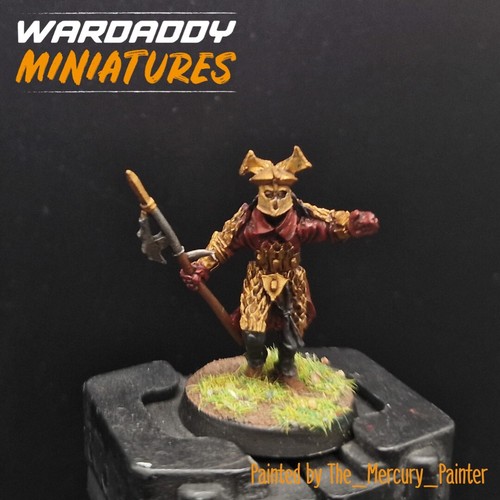 Pro painted warhammer lotr oop - pro,