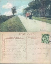 Horse drawn cart on rural road