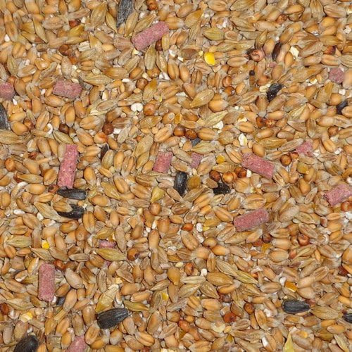 Dawn chorus kg original - dawn,