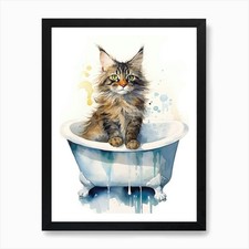 Maine Coon Cat In Bathtub