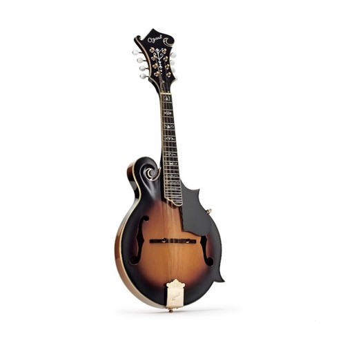 Ozark mandolin model 2255 - f,