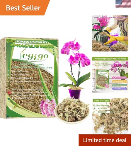 Carnivorous plant soil - qt,