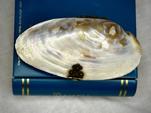 Victorian mother pearl - victorian, clam