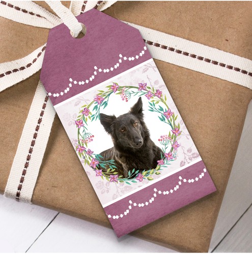 Dutch shepherd dog - dog, floral