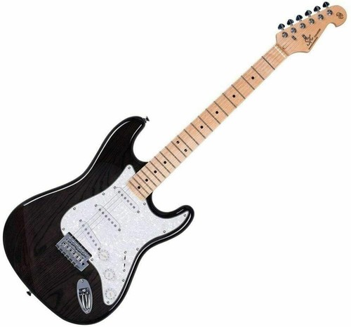 Electric guitar swamp - guitar, sc