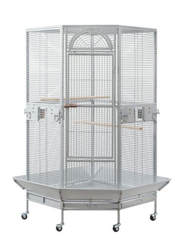 Seny corner bird - seny,