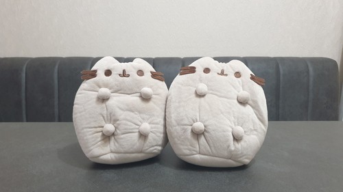 Pusheen cat empty - pusheen, water