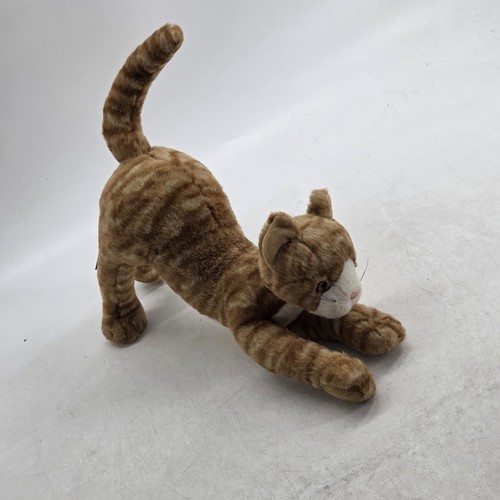 Classics stretch the - stretch, cat