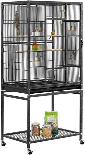 Bird cage flight - cage, parrot