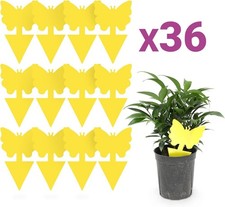 36PCS Fruit Fly Sticky Traps Insects Bugs Catcher Waterproof Gnat Killer