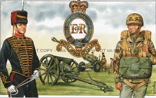 Royal horse artillery - horse,