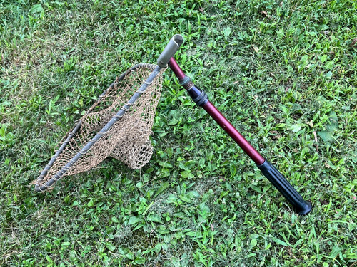 Vintage fly fishing trout - fly,