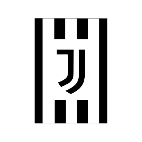 Juventus fleece blanket - juventus,