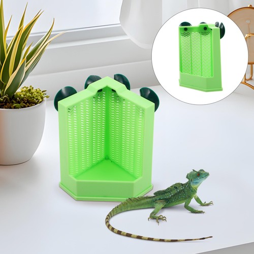 Gecko feeder small - feeder, reptile