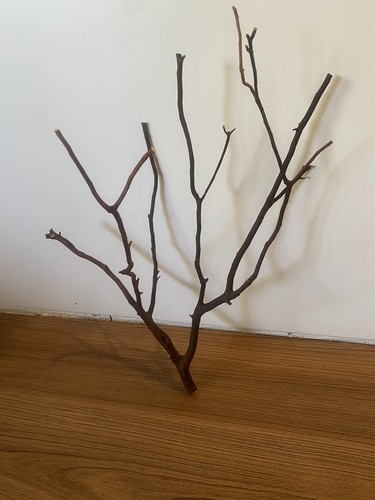 Red skin manzanita - manzanita, wood