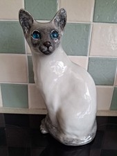 Winstanley siamese cat sitting - winstanley,