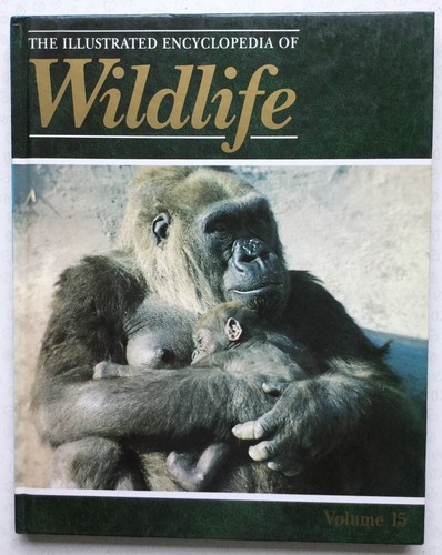 The illustrated encyclopedia - the,