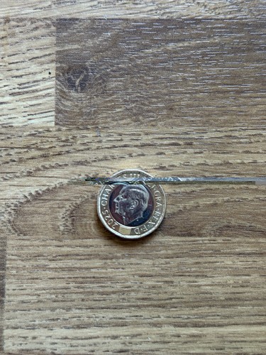 King charles bees coin - king,