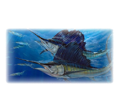 Sailfish ocean scene decal - sailfish,