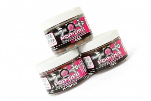Mainline baits dedicated base - mainline,