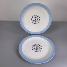 Copeland Spode Hamilton Dinner