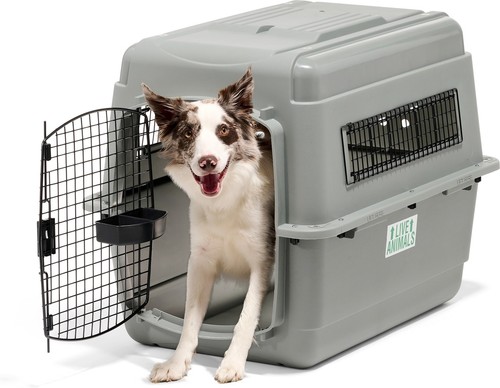 Petmate sky dog cat - &,