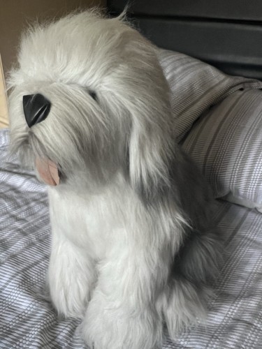 Vintage old english sheepdog - vintage,
