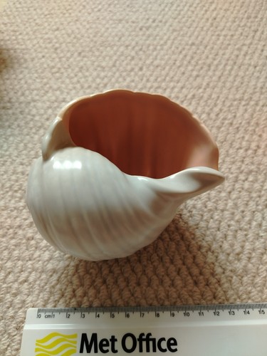 Vintage poole pottery conch - poole,
