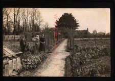 ALRESFORD Hants THE SUN INN 'GARDENS' PUBLIC HOUSE REAL PHOTO PC 1923 - UK3904