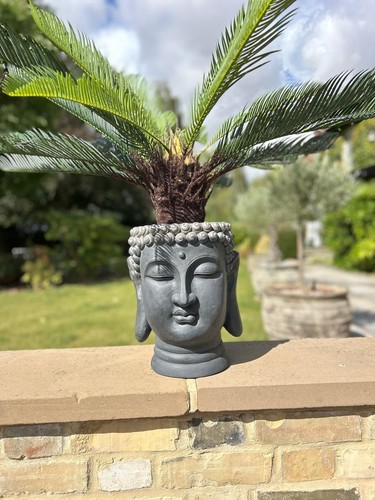Buddha head garden grey - head,