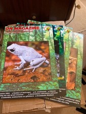 DN Magazine Dendrobatidae
