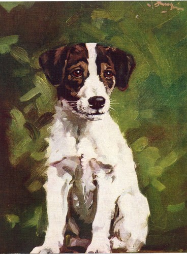 Fox terrier puppy vintage - puppy,