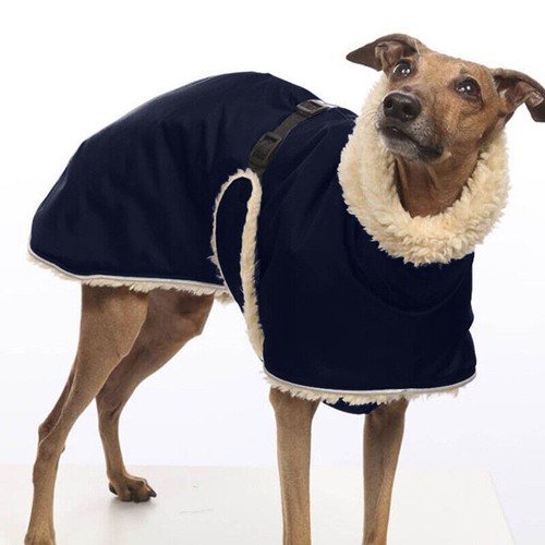Pet high collar jumper sweater - high,
