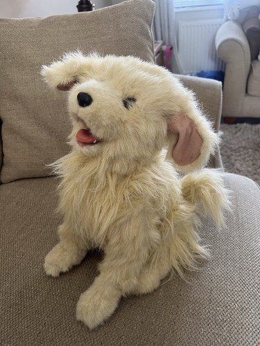 Scamps playful pup 74565 - scamps,