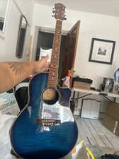 hudson acoustic Electro guitar