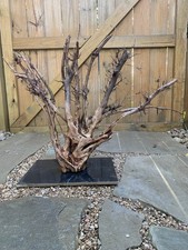 Large Natural Driftwood For