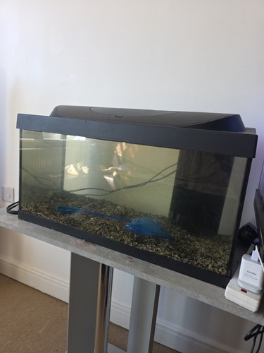 Tetra 54l fish tank with - tetra,