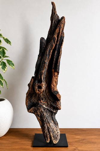 Large mounted driftwood - large,