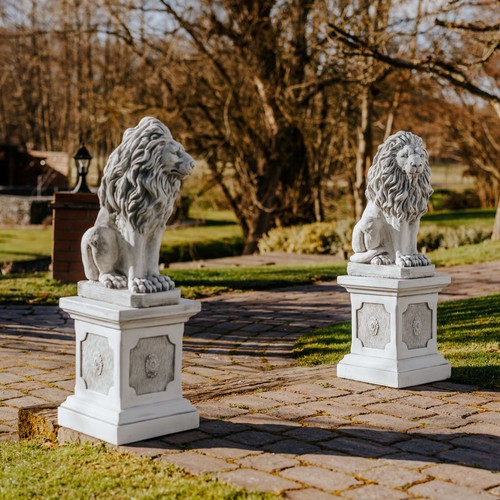 Pair lions stone - pair,